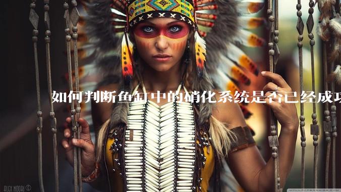 如何判断鱼缸中的硝化系统是否已经成功建立？